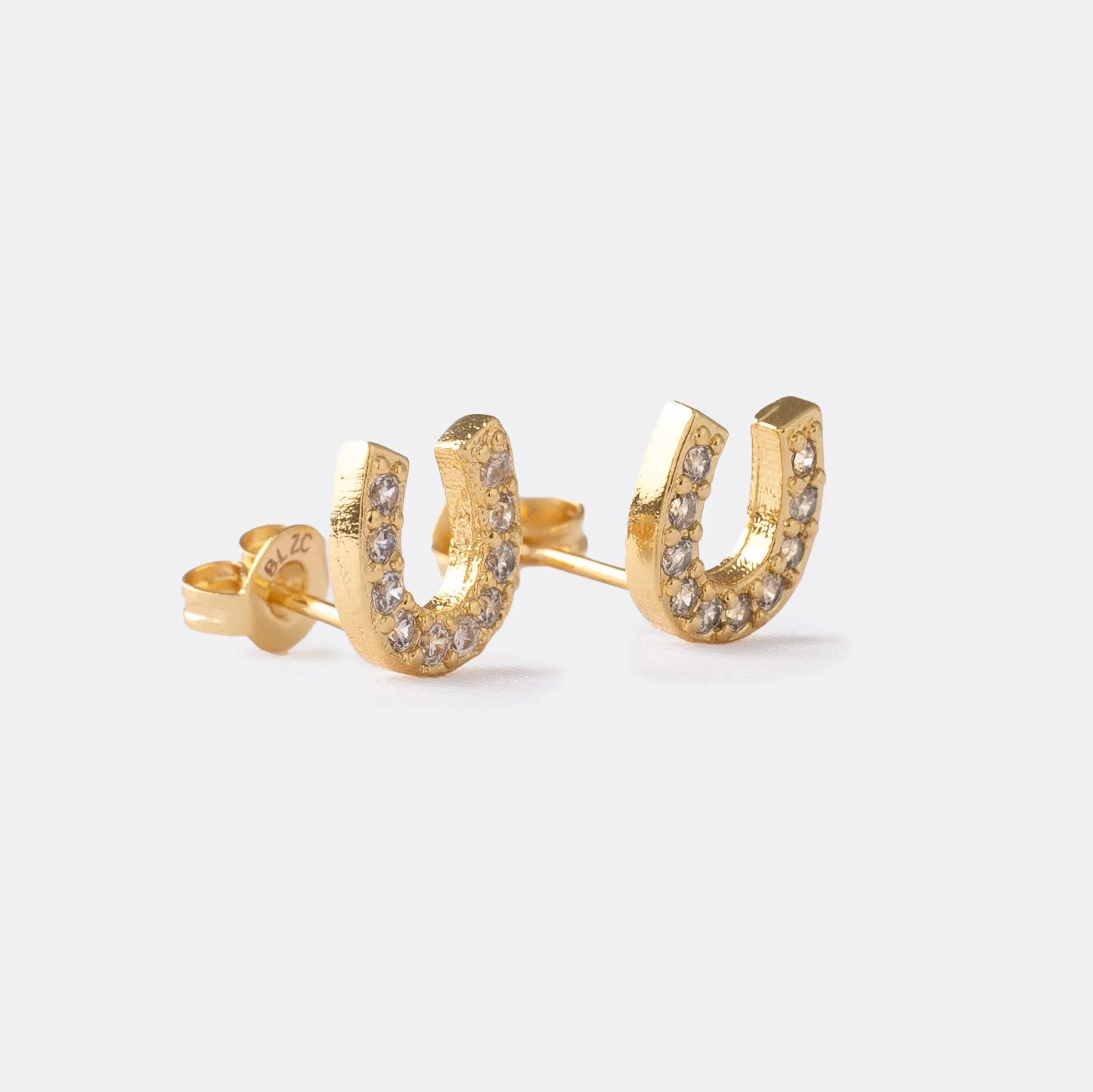 Aretes Equino