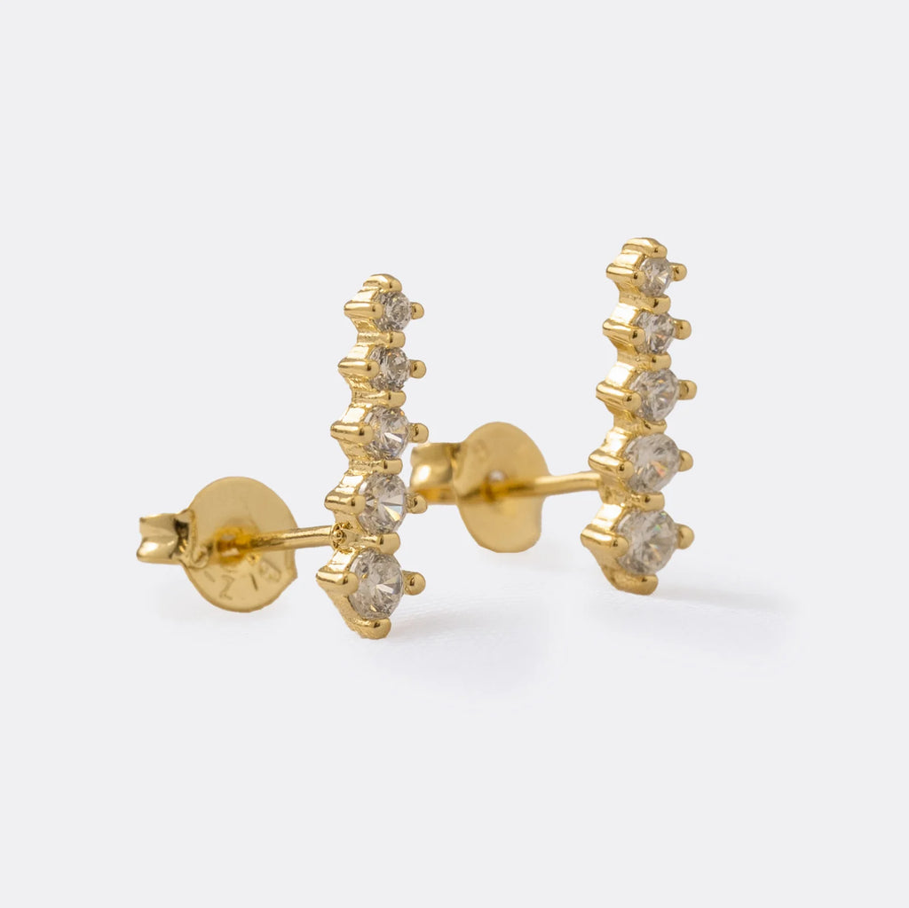 Aretes Wonder